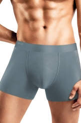 Трусы муж. Clever